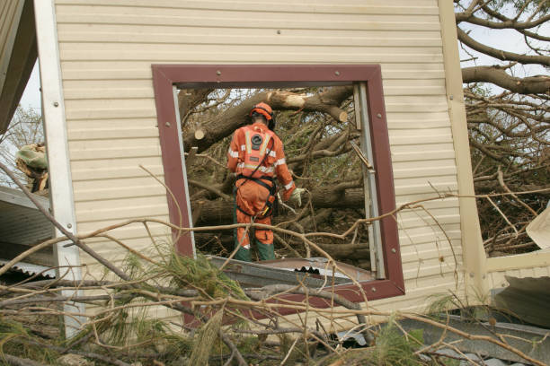 Best Tree Trimming and Pruning  in Cao, ND